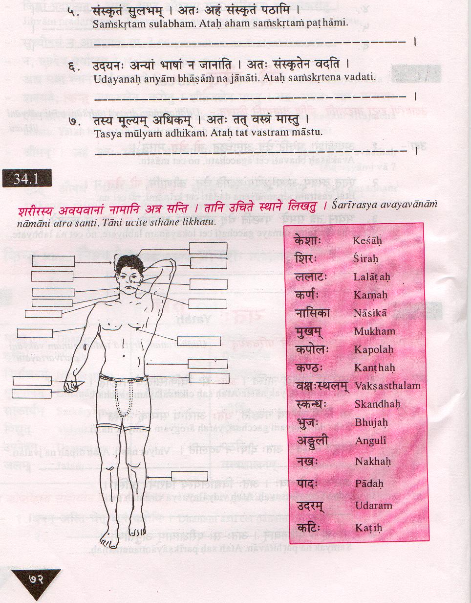 Body Parts Tamil / Untitled Document ccat.sas.upenn.edu : A crossword to practise body parts.